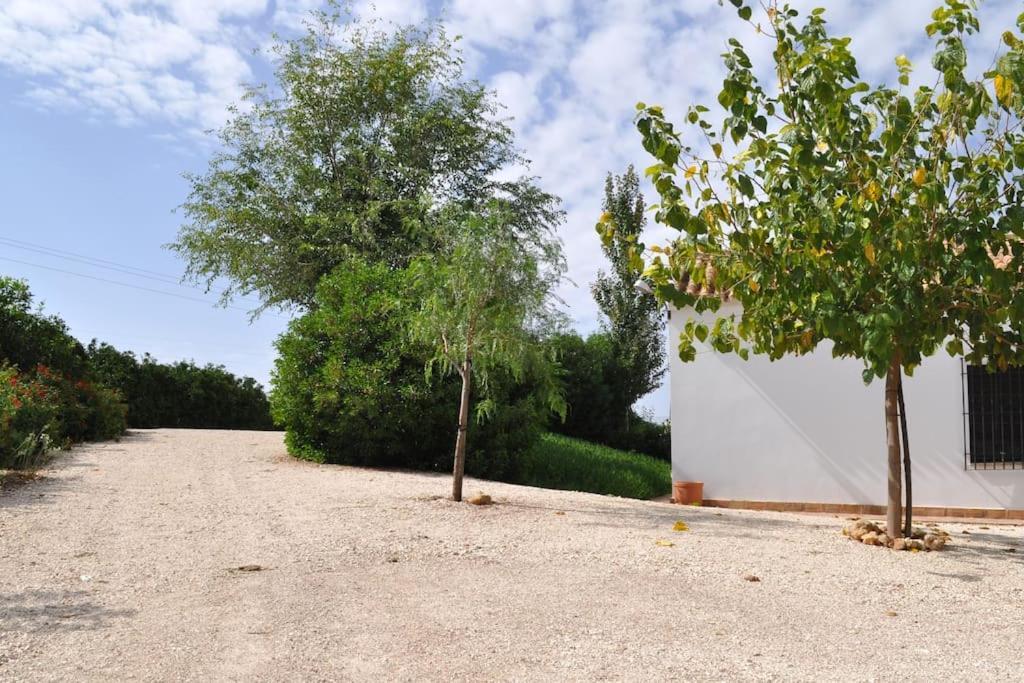 Casa Rural La Linana Córdoba Eksteriør billede