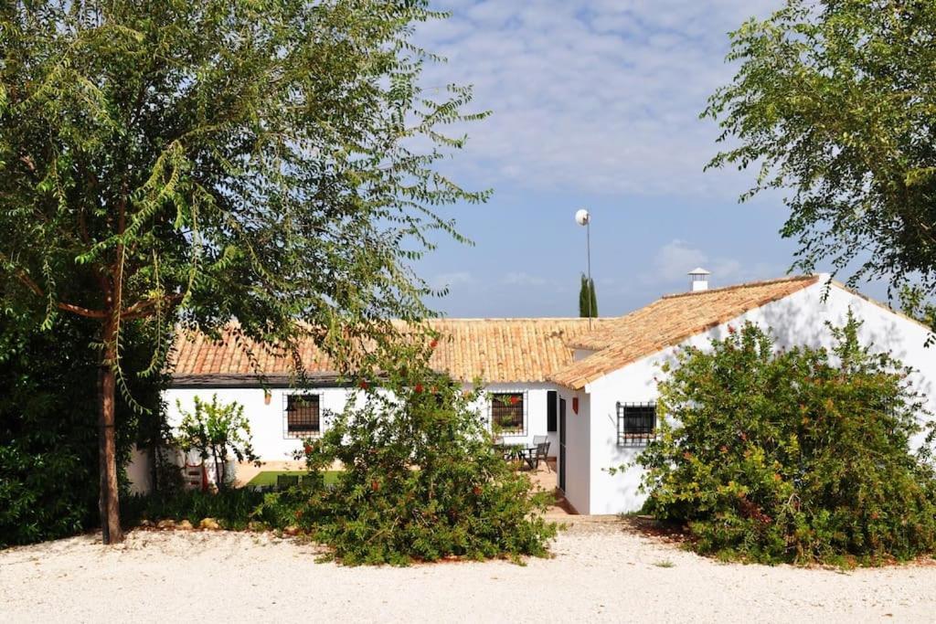 Casa Rural La Linana Córdoba Eksteriør billede