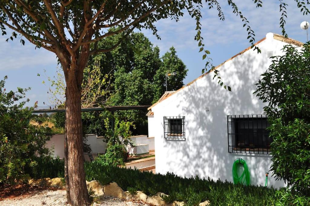 Casa Rural La Linana Córdoba Eksteriør billede